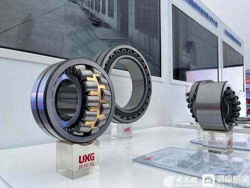 張百順巡看第三屆跨國公司領導人青島峰會聊城展區 展示區域魅力，共促開放合作